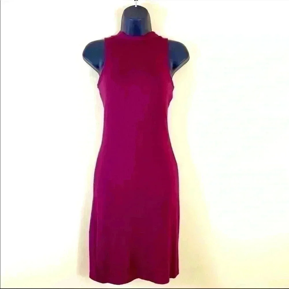 Velvet Torch Burgundy Sleeveless High Neck Bodycon Rayon Dress